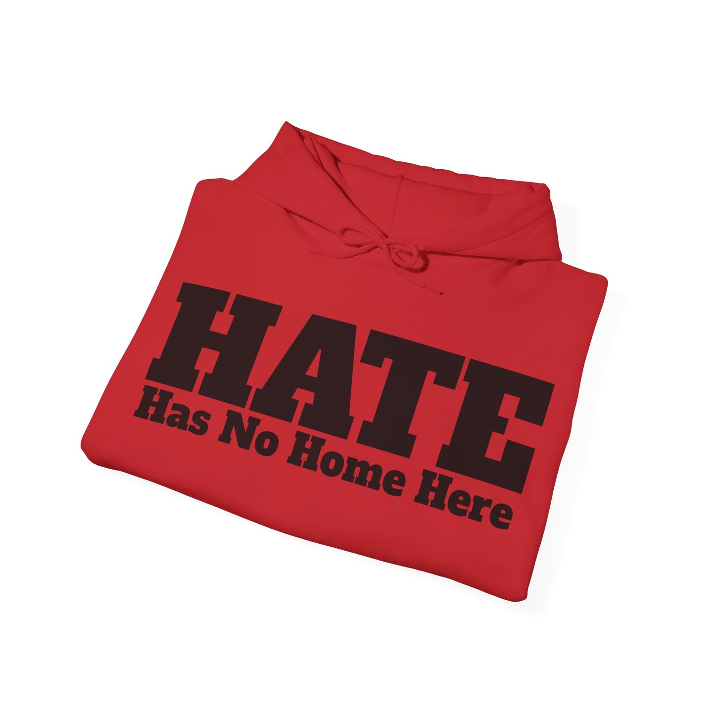 HATE Has No Home Here - Hoodie / Hoody