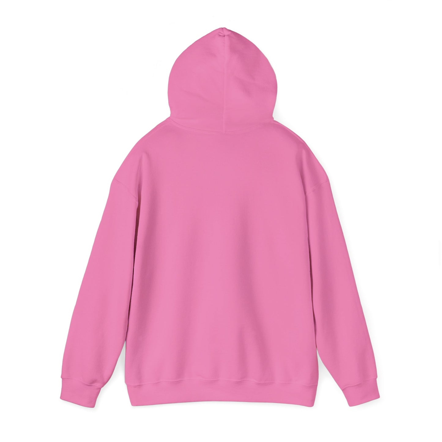 This Hoodie Hides Only Fans Content - Hoody / Hoodie