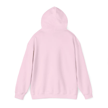 This Hoodie Hides Only Fans Content - Hoody / Hoodie