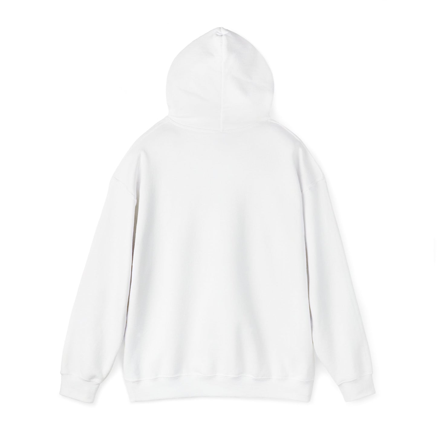 This Hoodie Hides Only Fans Content - Hoody / Hoodie