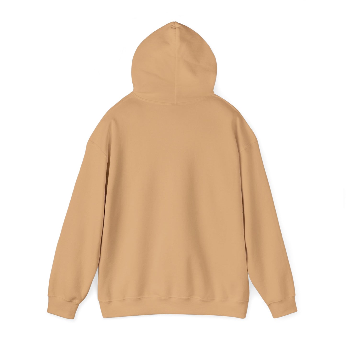 This Hoodie Hides Only Fans Content - Hoody / Hoodie