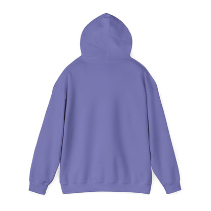 This Hoodie Hides Only Fans Content - Hoody / Hoodie