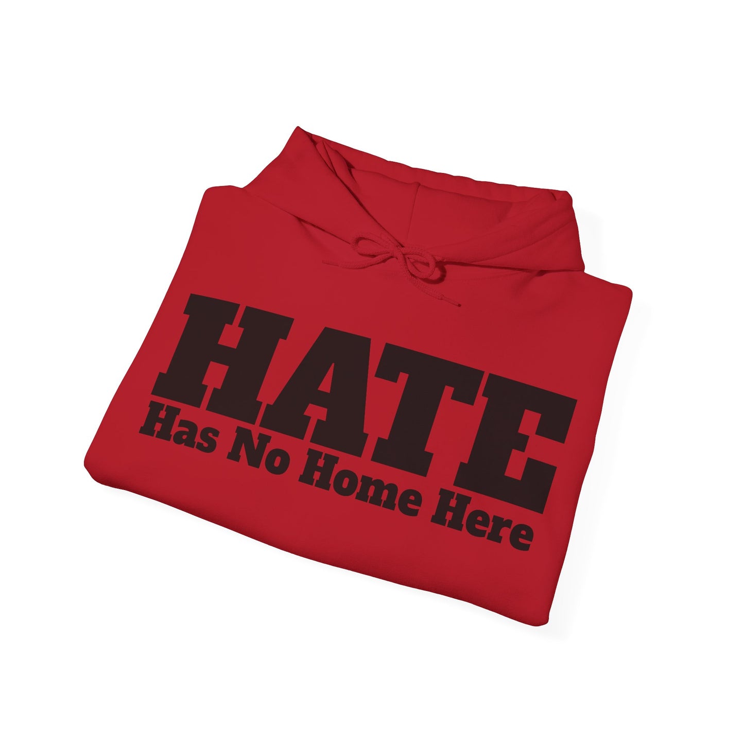 HATE Has No Home Here - Hoodie / Hoody