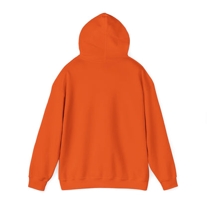 This Hoodie Hides Only Fans Content - Hoody / Hoodie